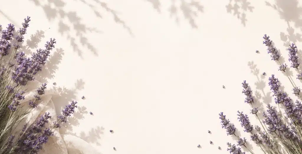 Newsletter Banner mit Lavendel im Boho Scandi Stil